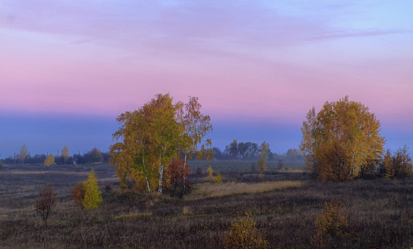 Рыжая осень