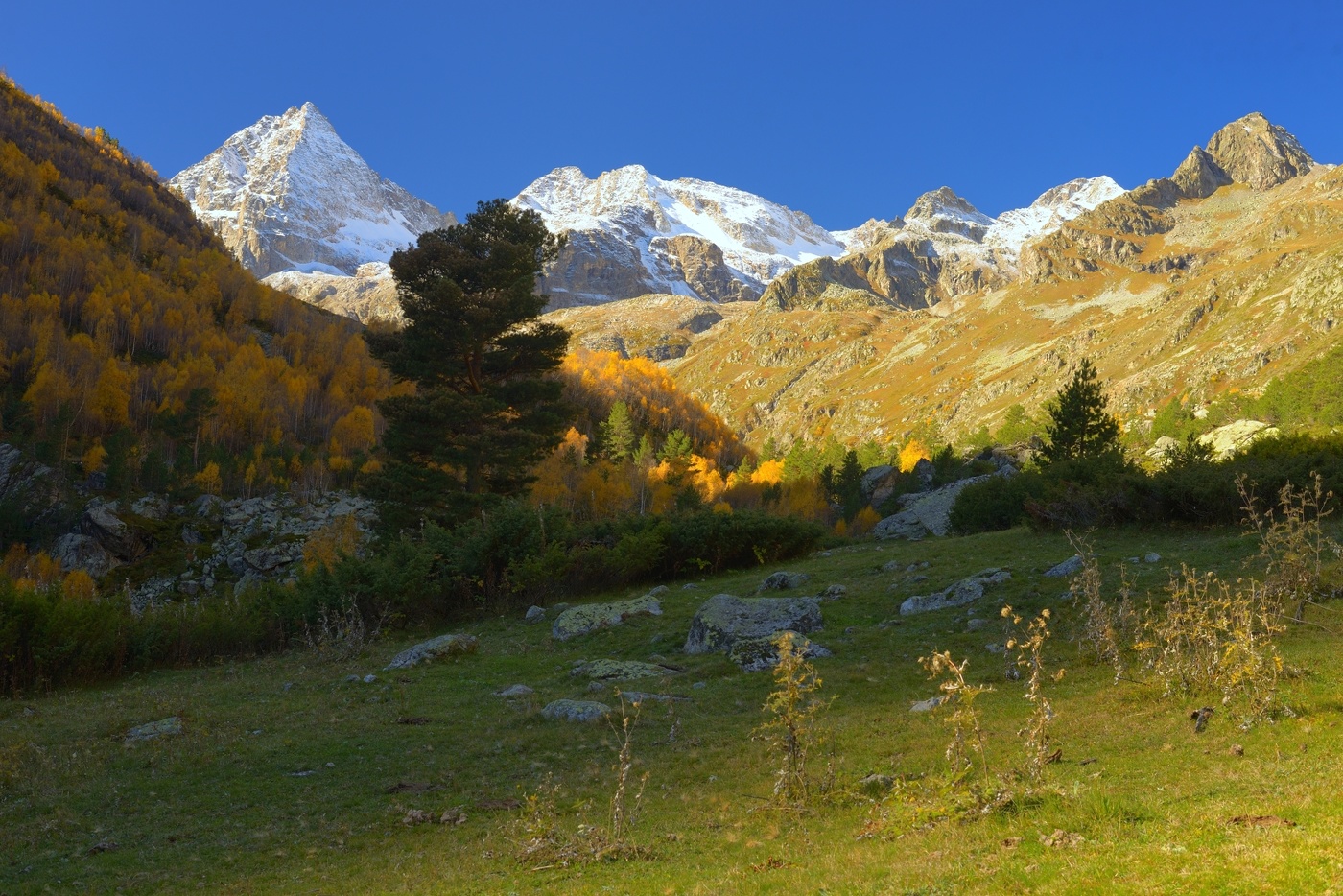 Осеннее утро