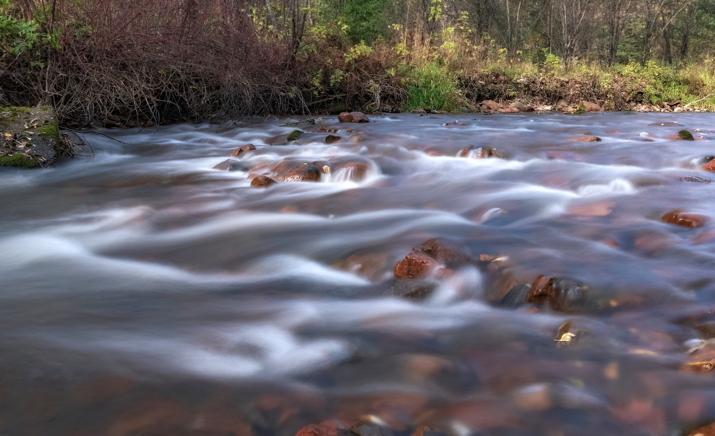 Небольшая сибирская речка