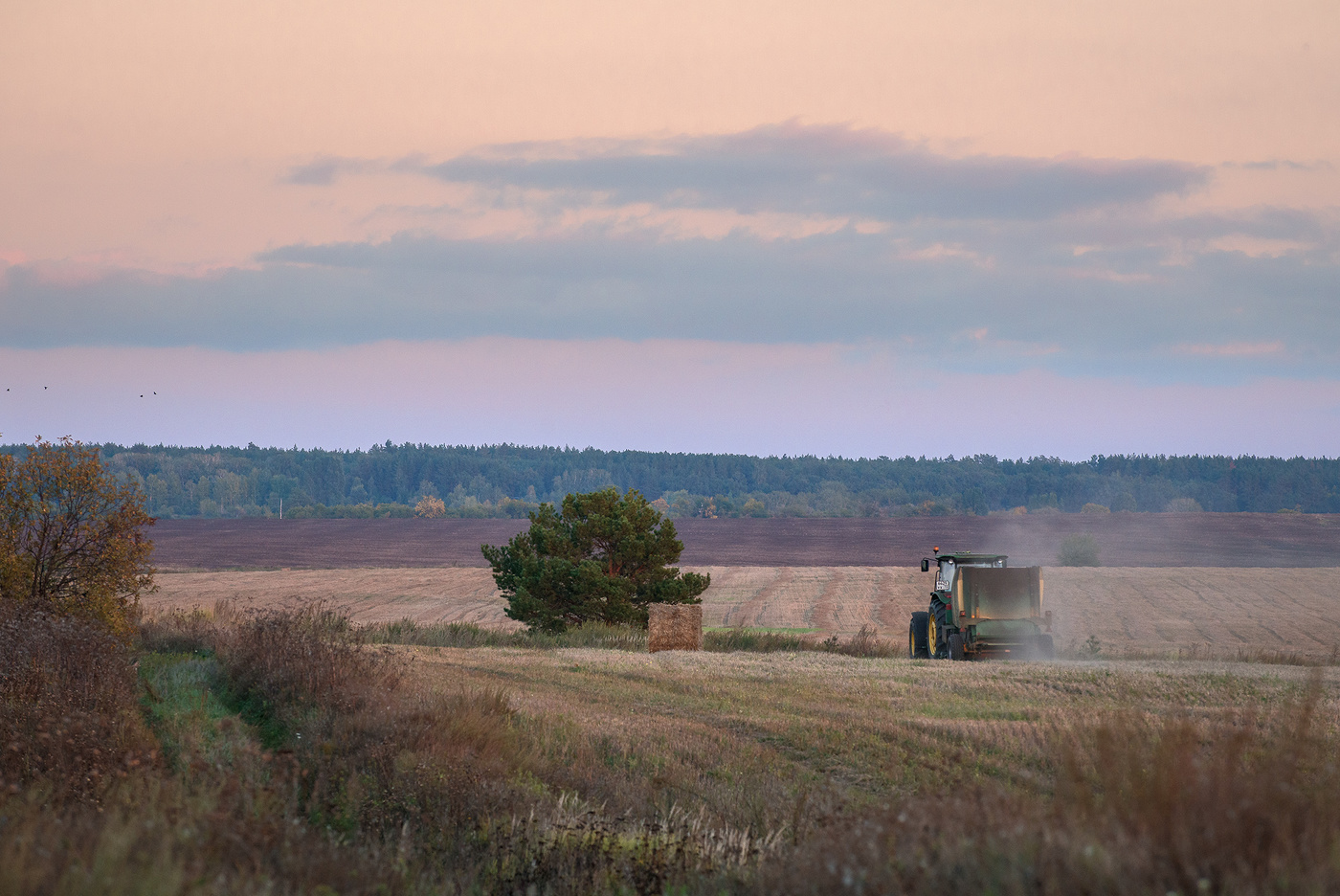 Осенняя пора...