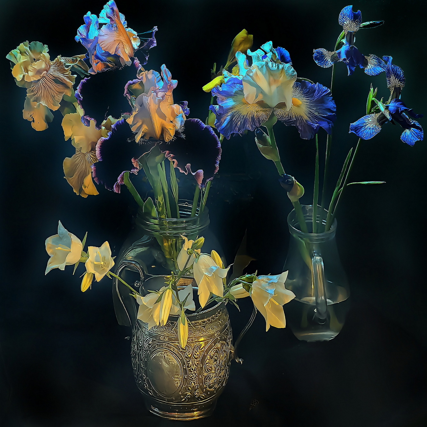 Ирисы и свет