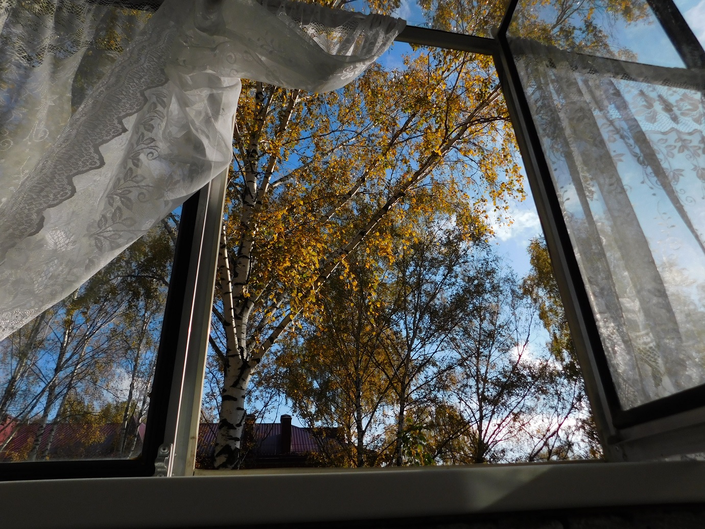 Жизнь вокруг