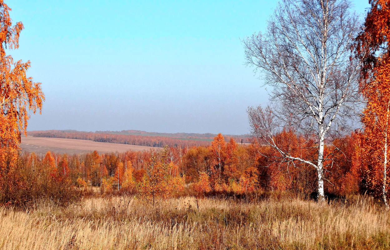 Осенние дали