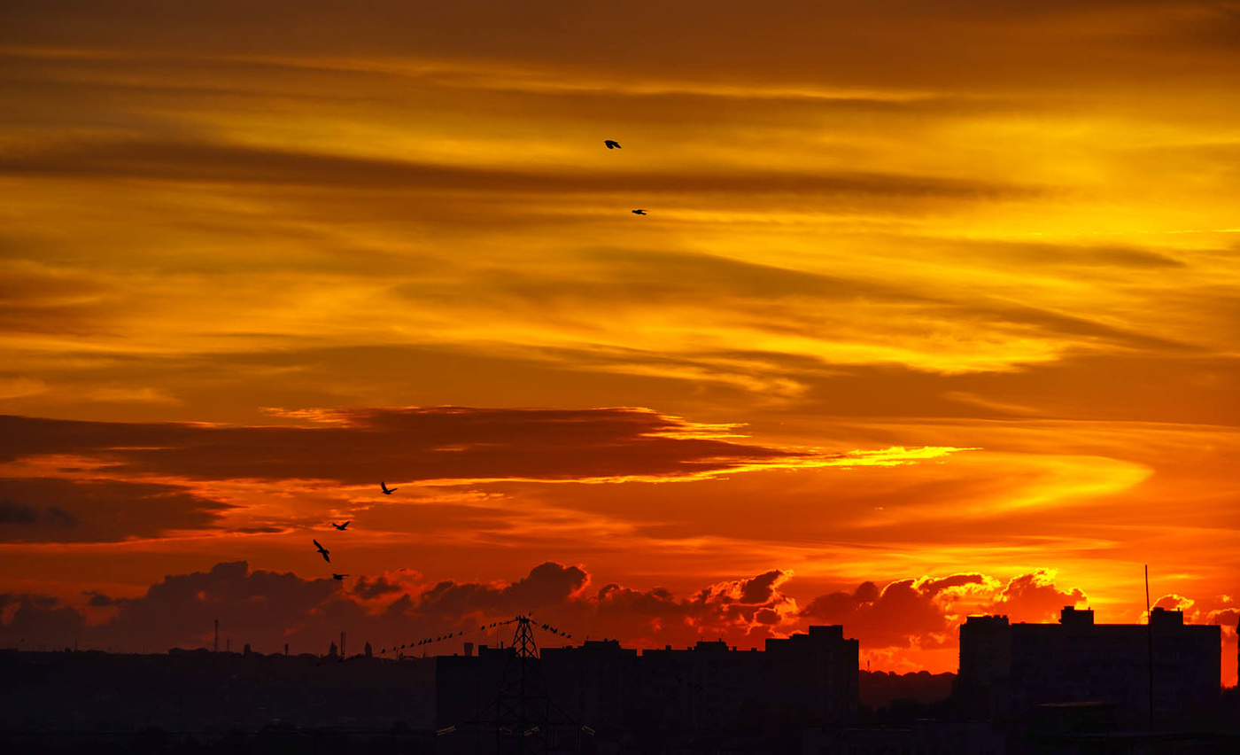 Вечер в Симферополе