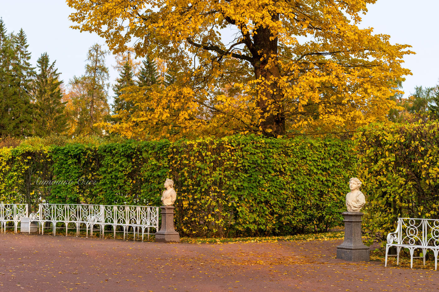 Екатерининский парк осенью.