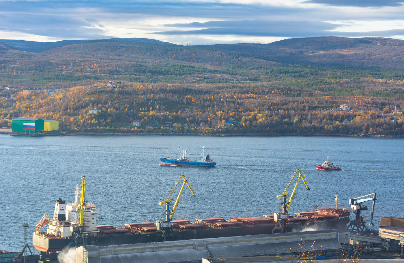 осень на берегах залива