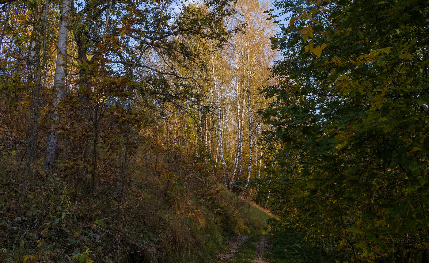 На пригорке.