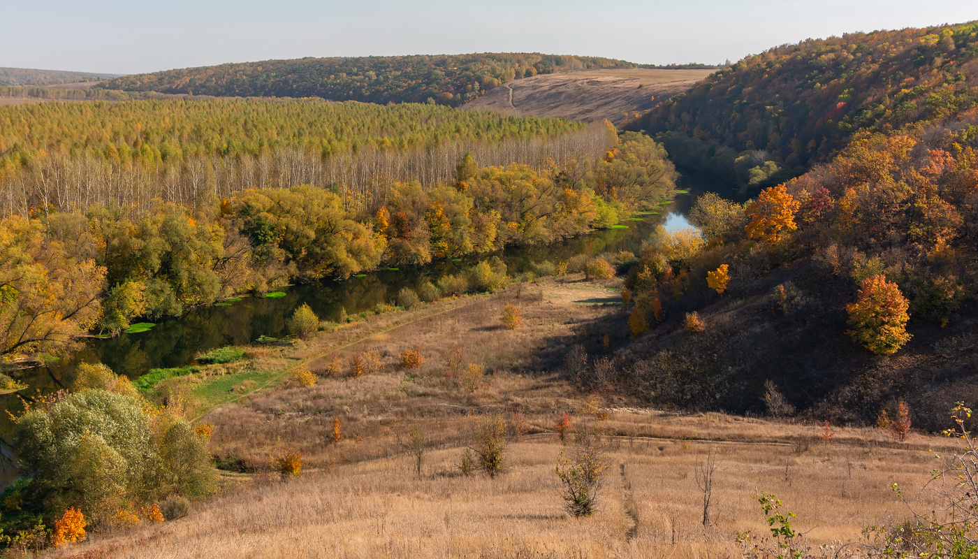 Донские берега