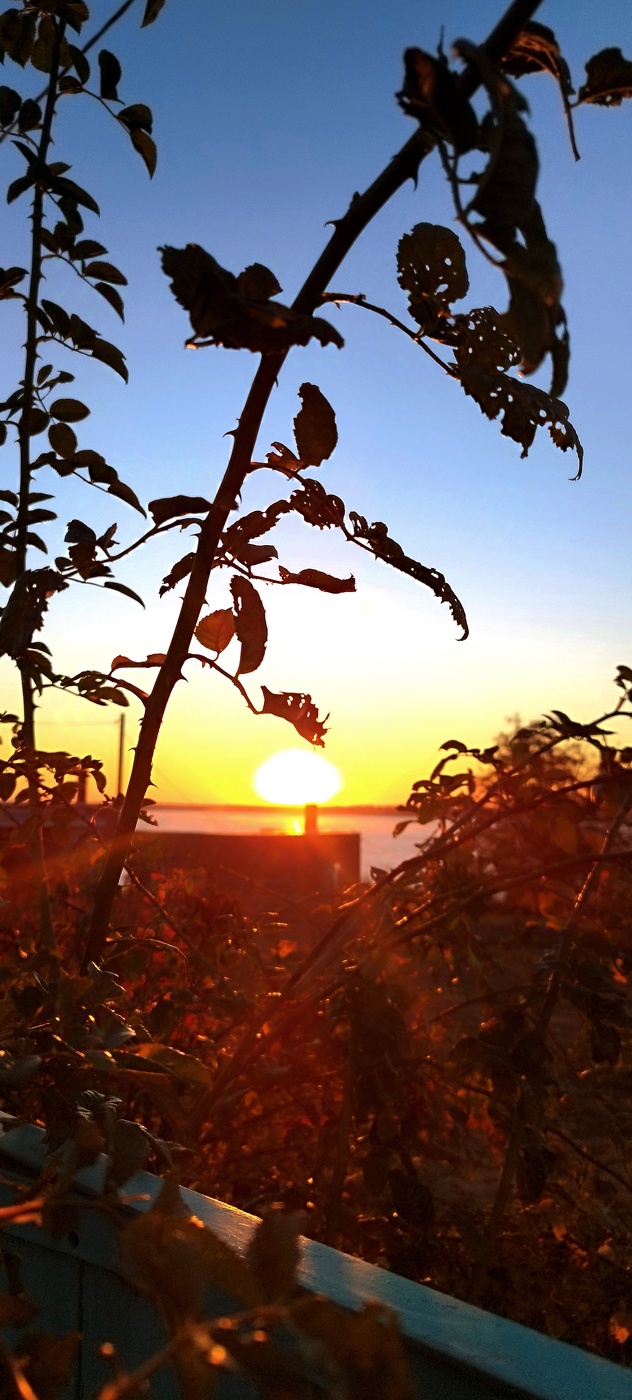 Осень. Рассвет