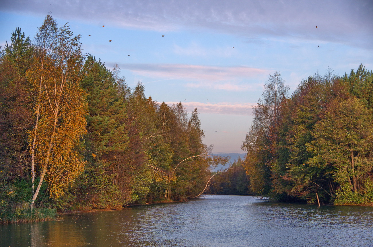Ветер сдувает последние листья