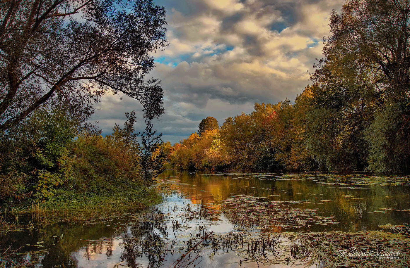 "Осенняя позолота у заводи" ©