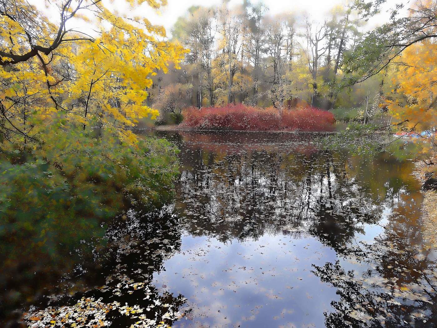 Рвазноцветье осени