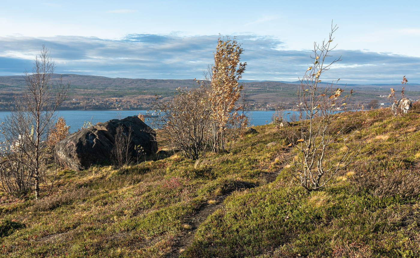 наветренный склон