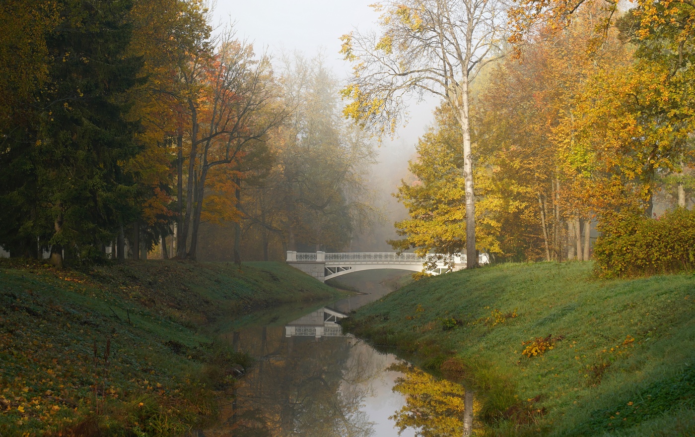 Утро в октябре