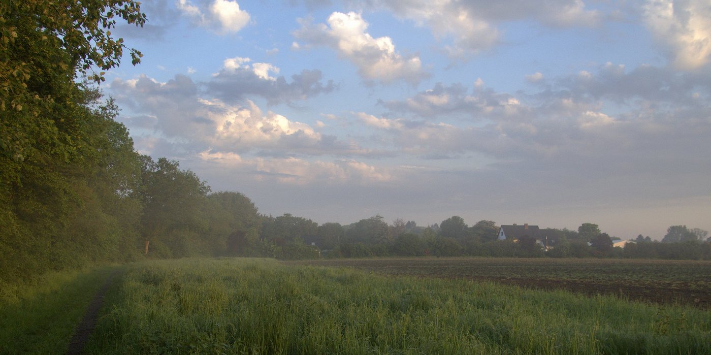 В утренней дымке
