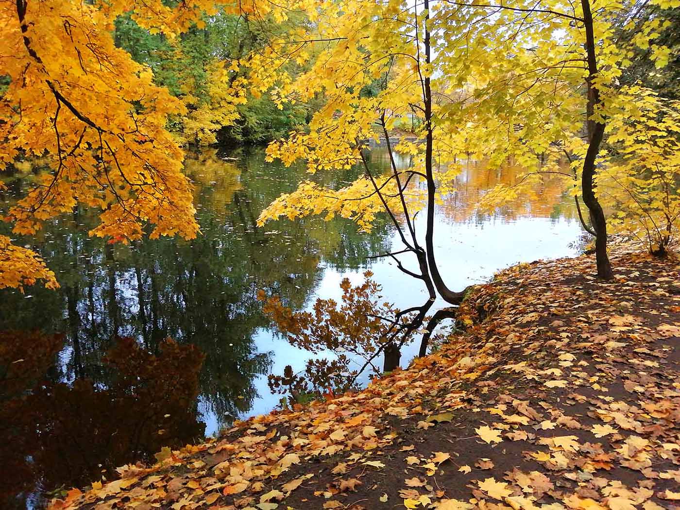 Речка Таракановка