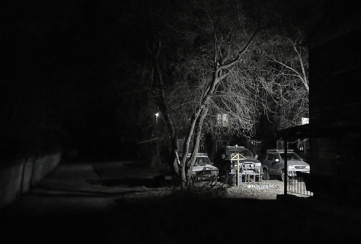 ночной двор