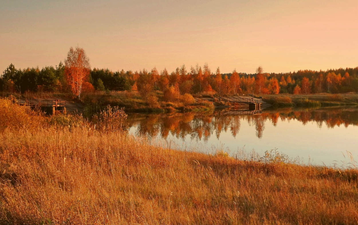 В один осенний вечер