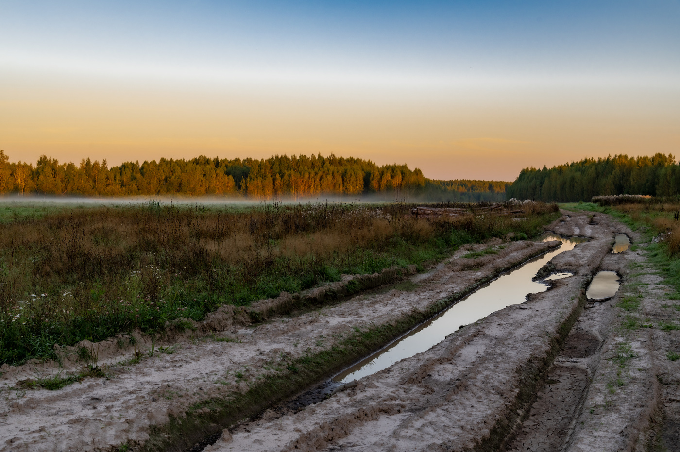 После дождя