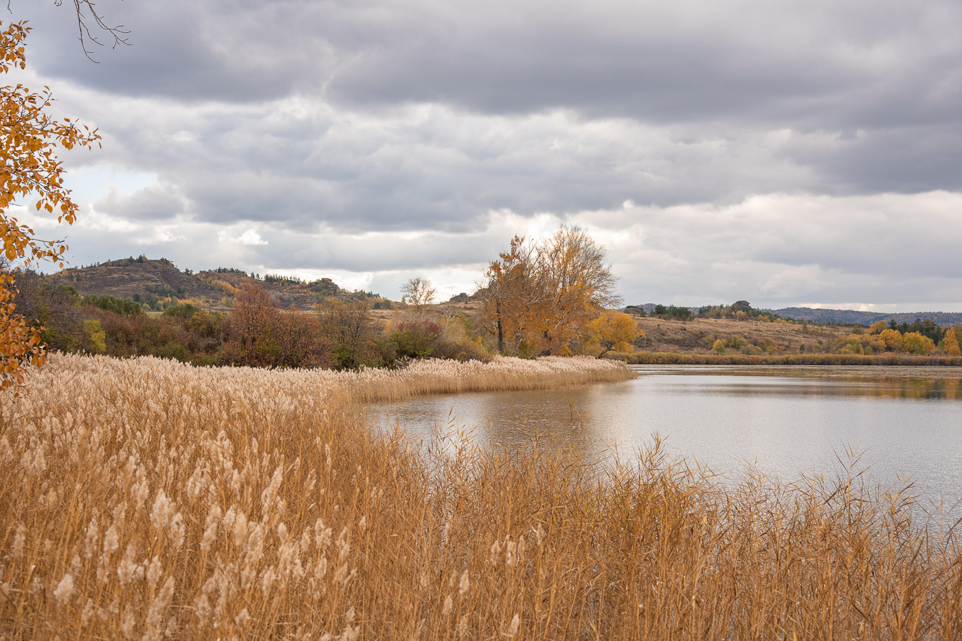 Золотой берег
