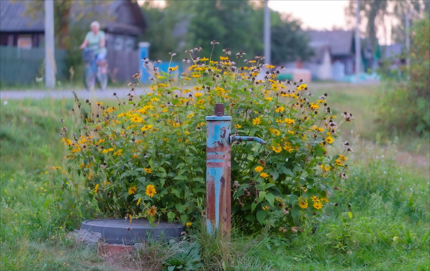 СПУСКАЛСЯ ВЕЧЕР