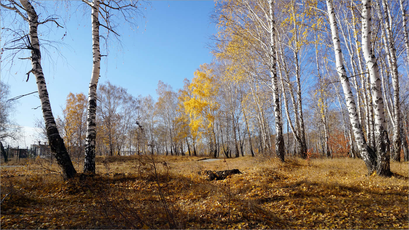 Уходит осень золотая...