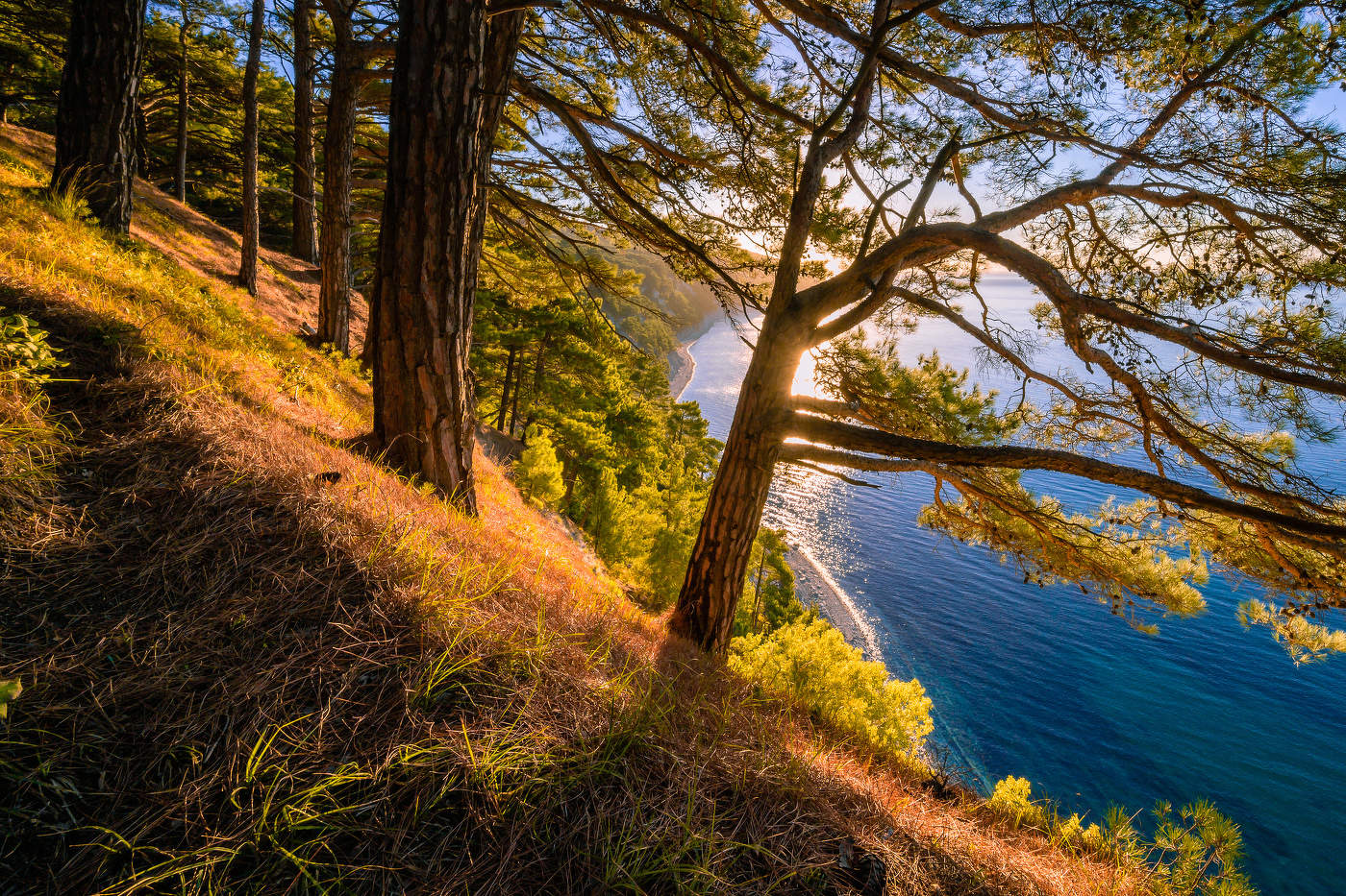 Рыжее утро.