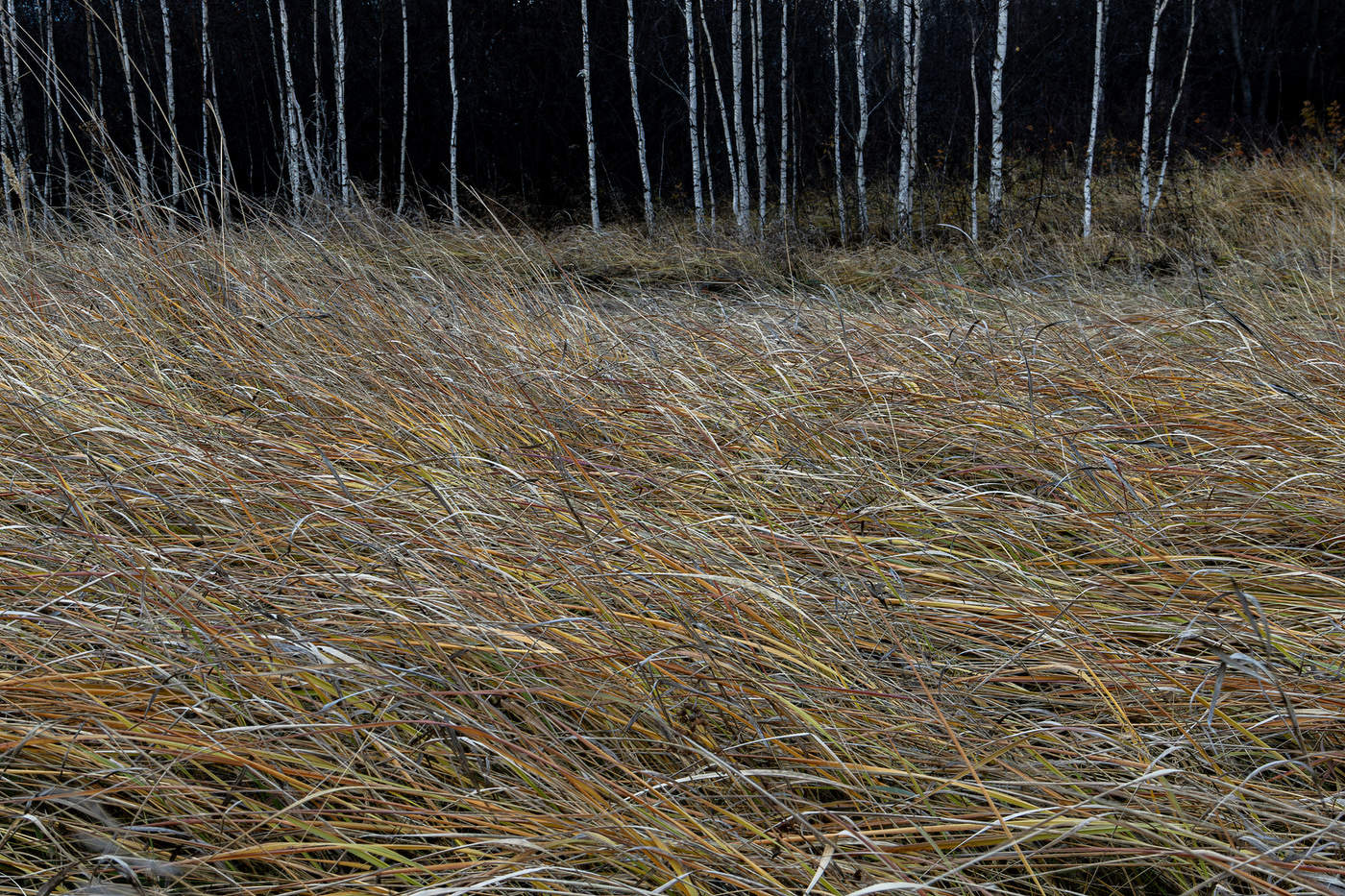 Штрихи осени