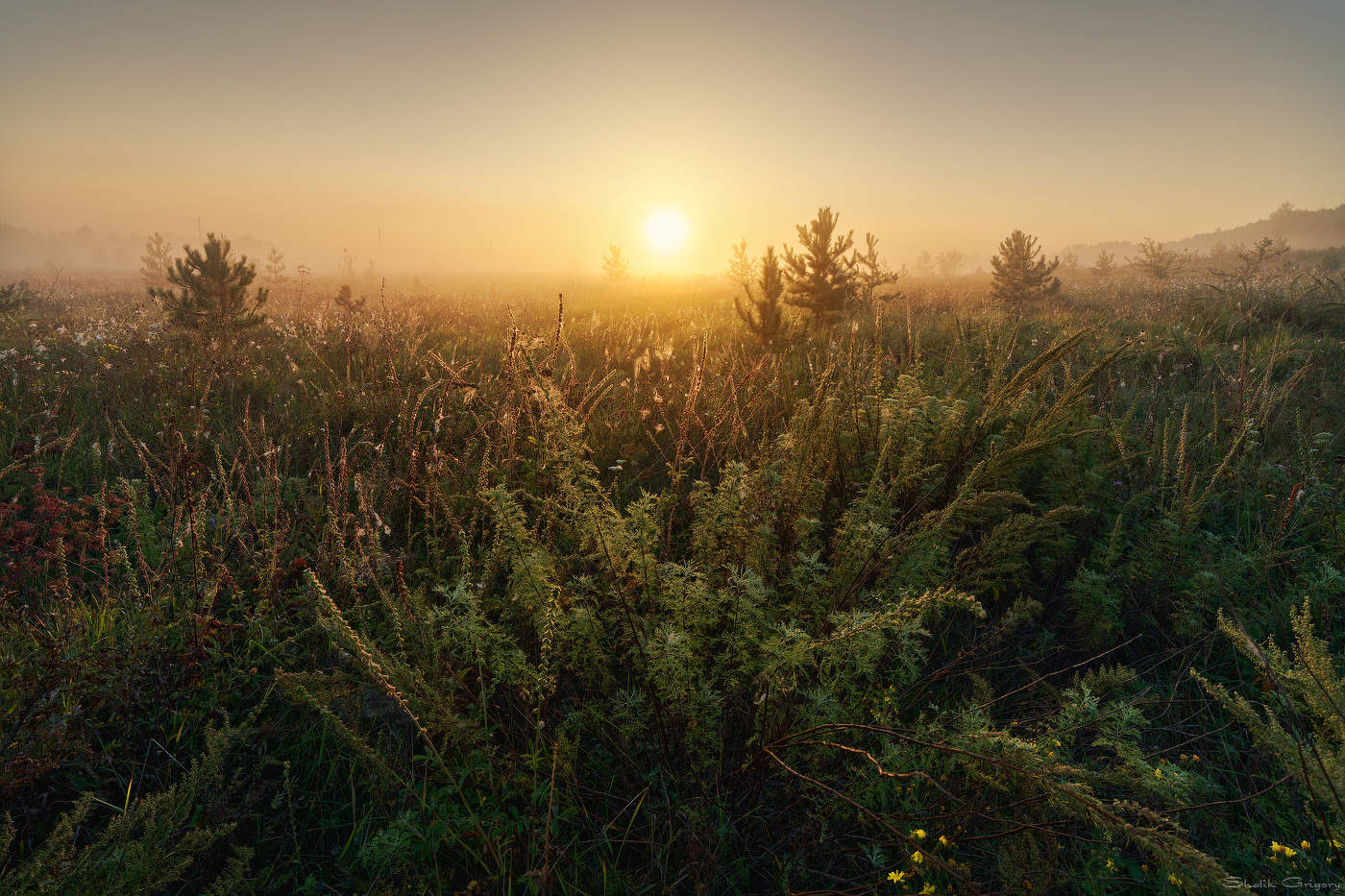 С добрым утром!