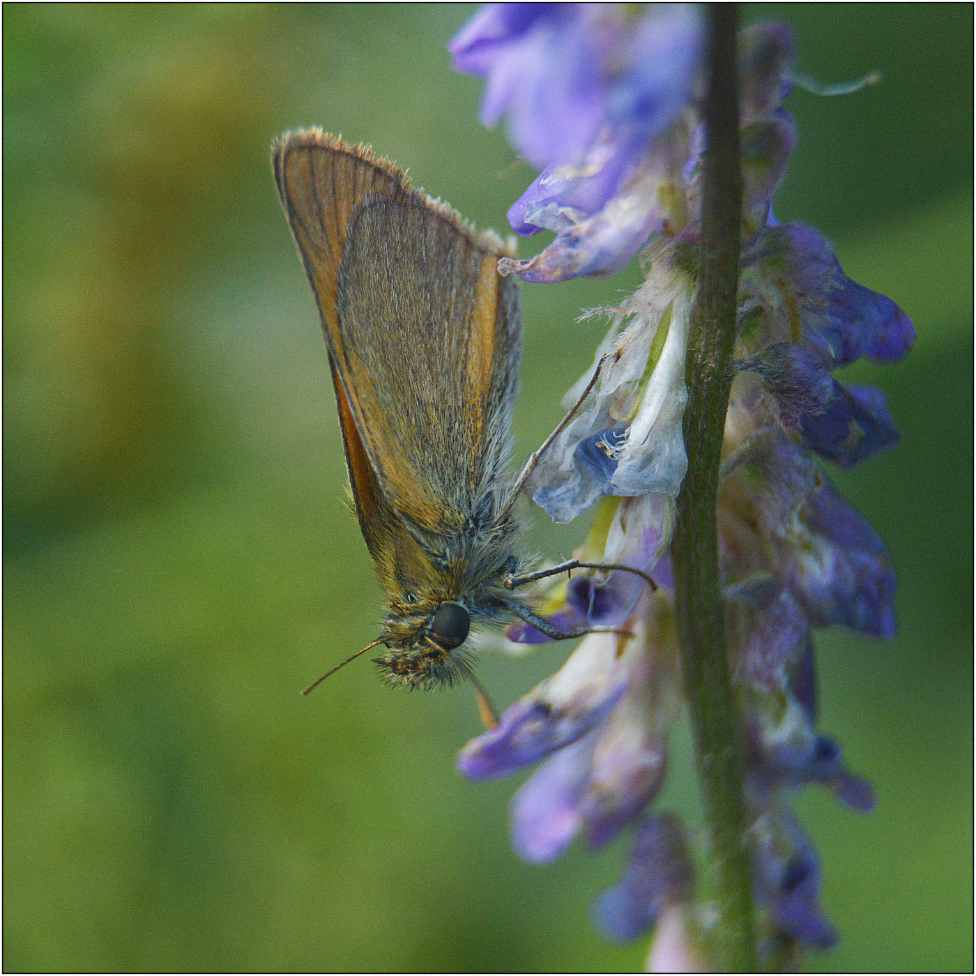 Солнце за облаками...