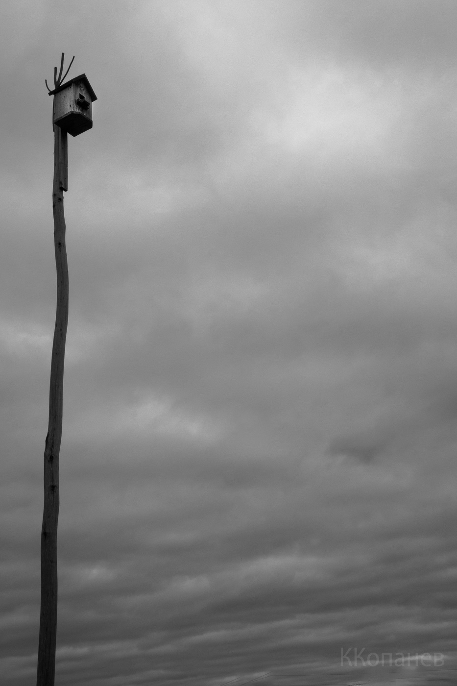 Скворечник