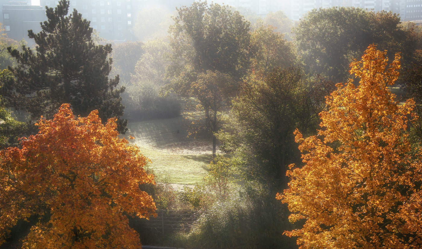 Утро. Вид с балкона
