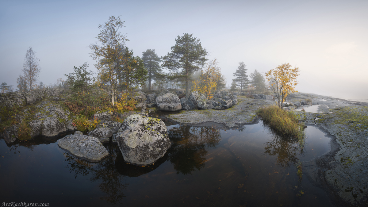 "Осенние лужи"