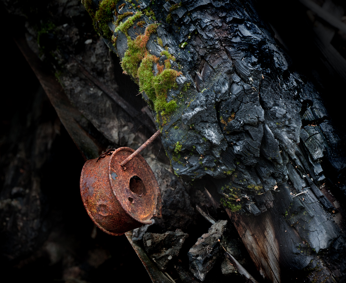 Икебаночка