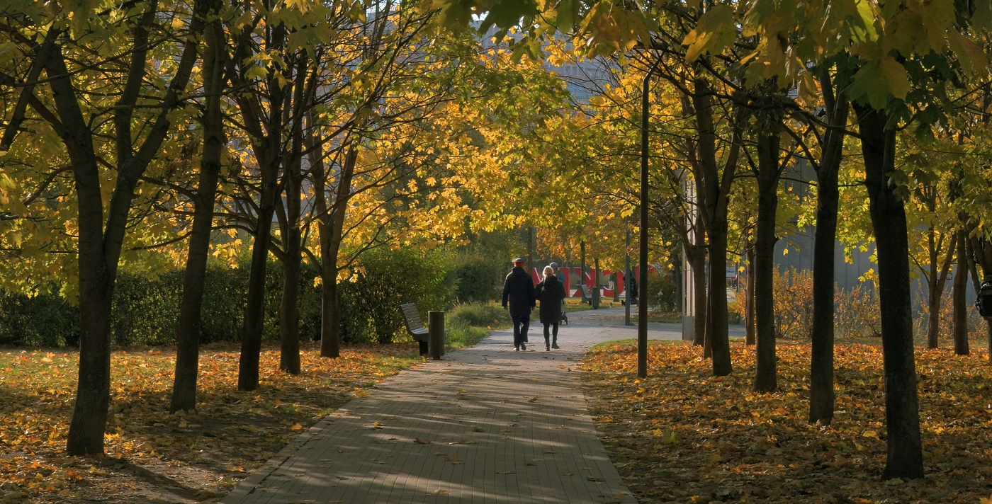 Осенняя встреча