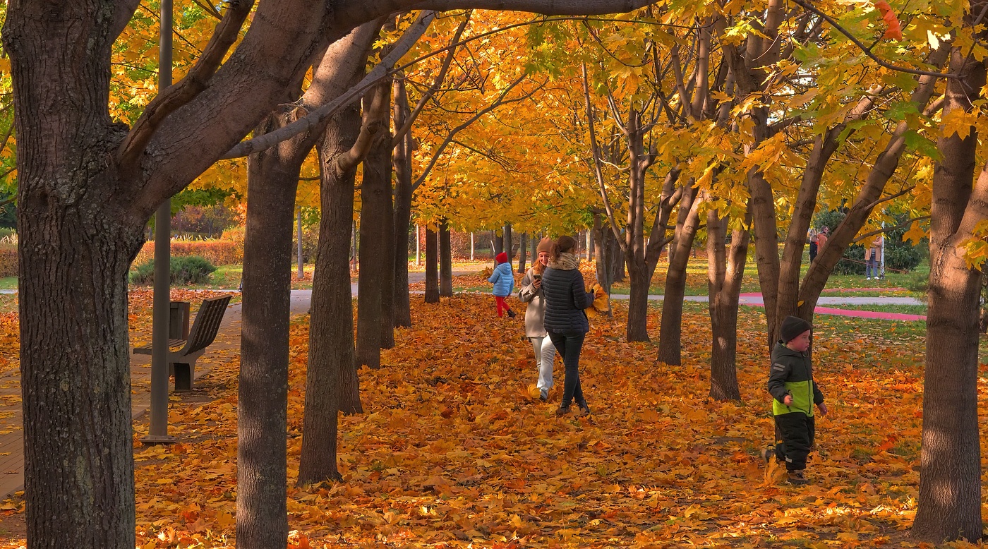 Осенние деньки