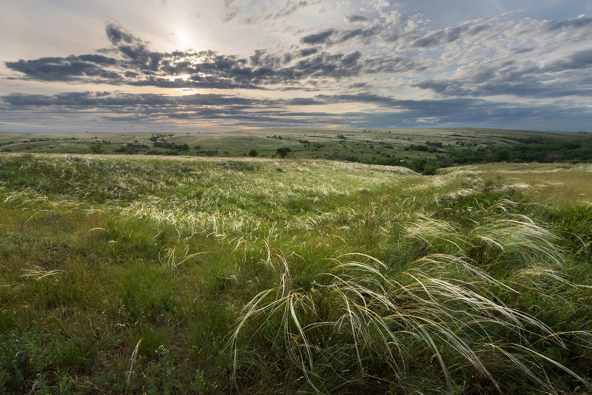 Время для медитации
