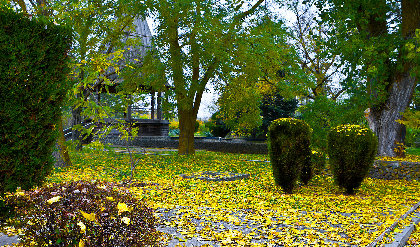 Золотая осень