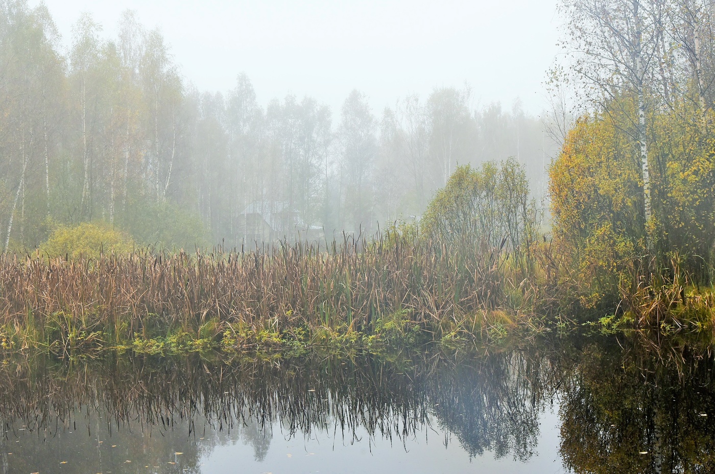 "Осенний туман - череда наваждений ..."