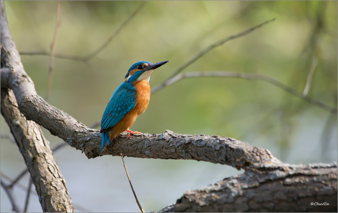 Красавчик )