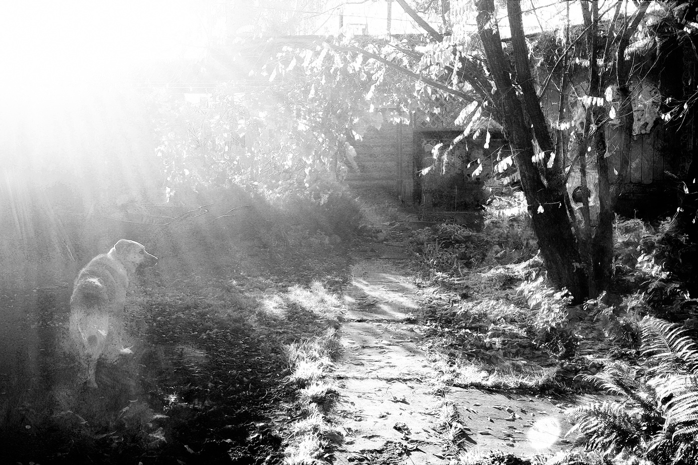 Октябрь. Утро.