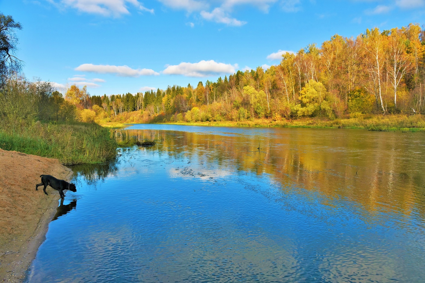 "Чудесный денек! Не искупаться ли ..."