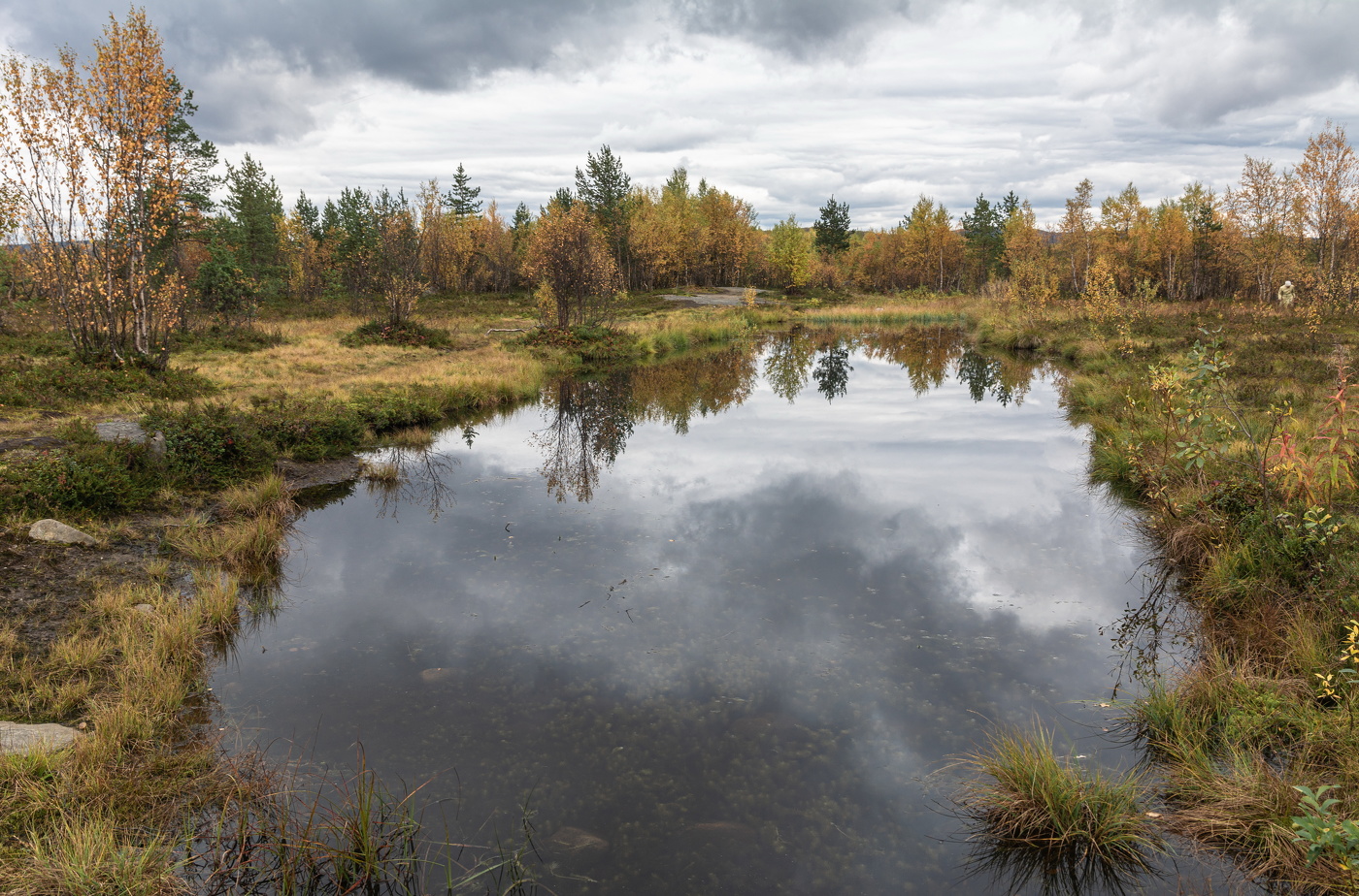 осень, осень ...