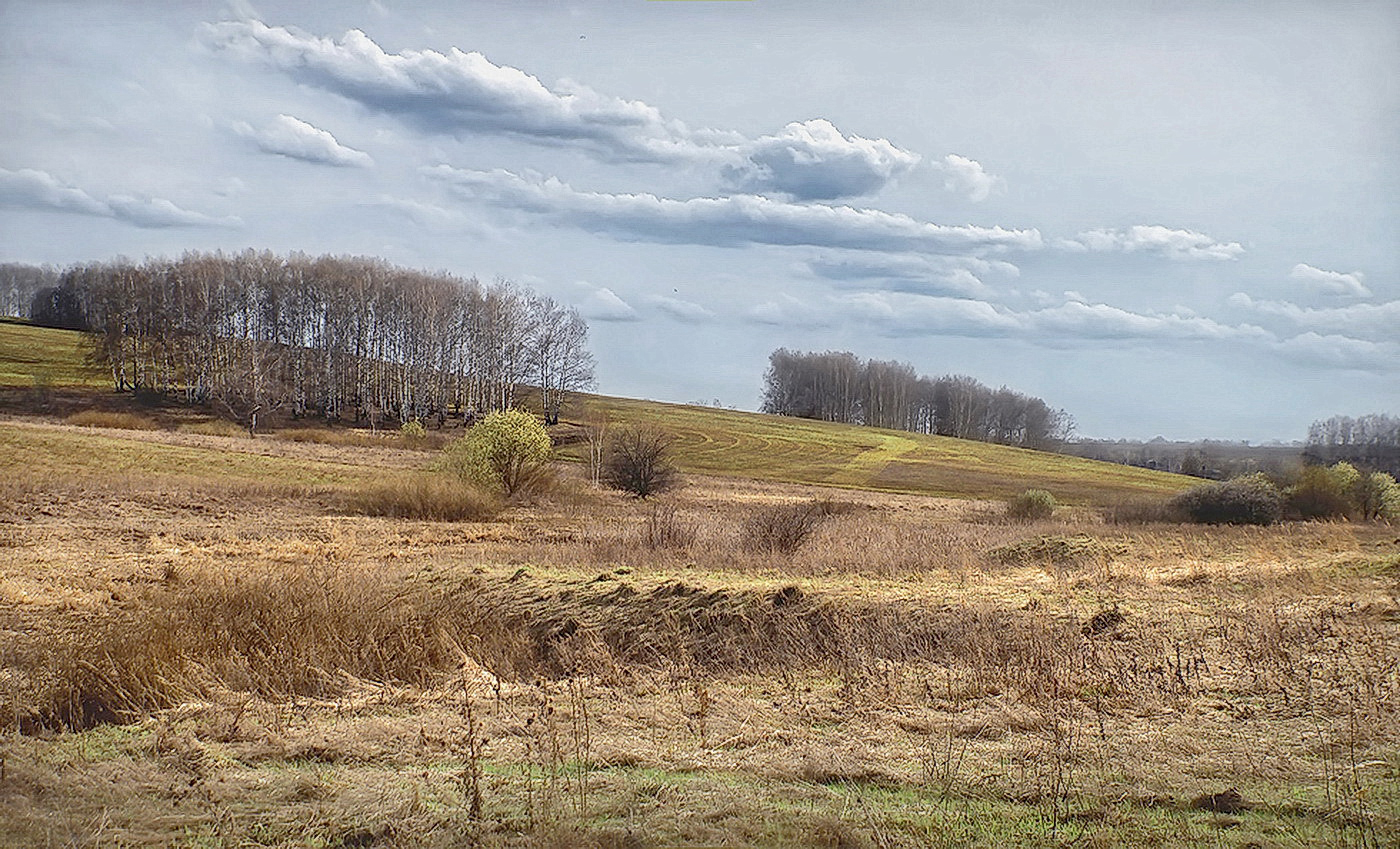 Ватные облака.