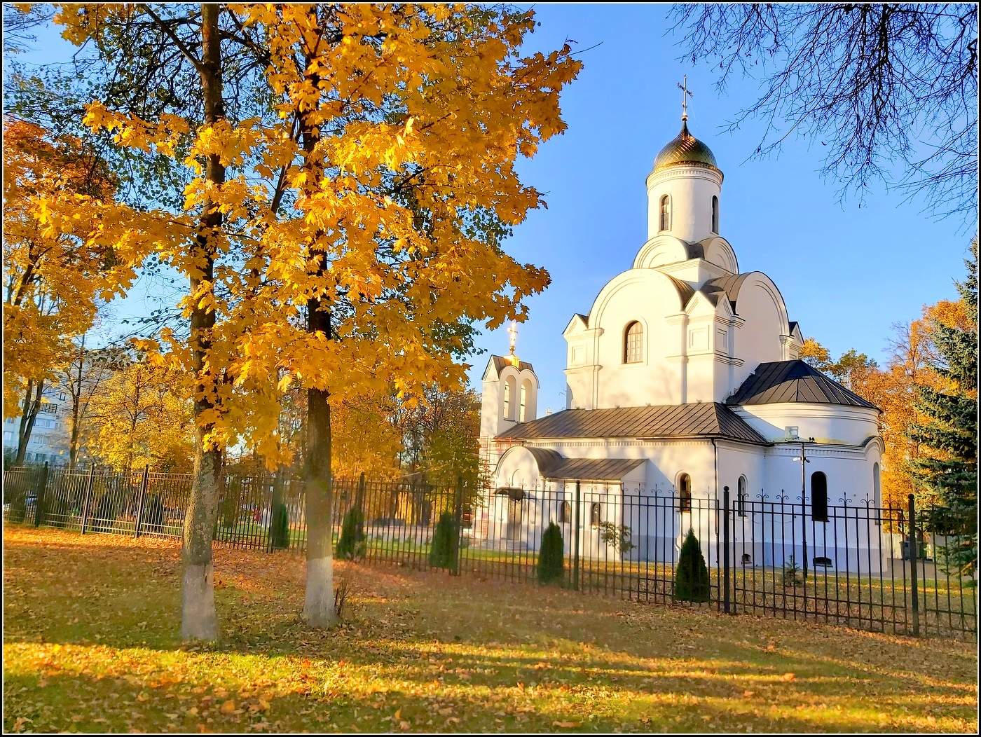 осень в городе