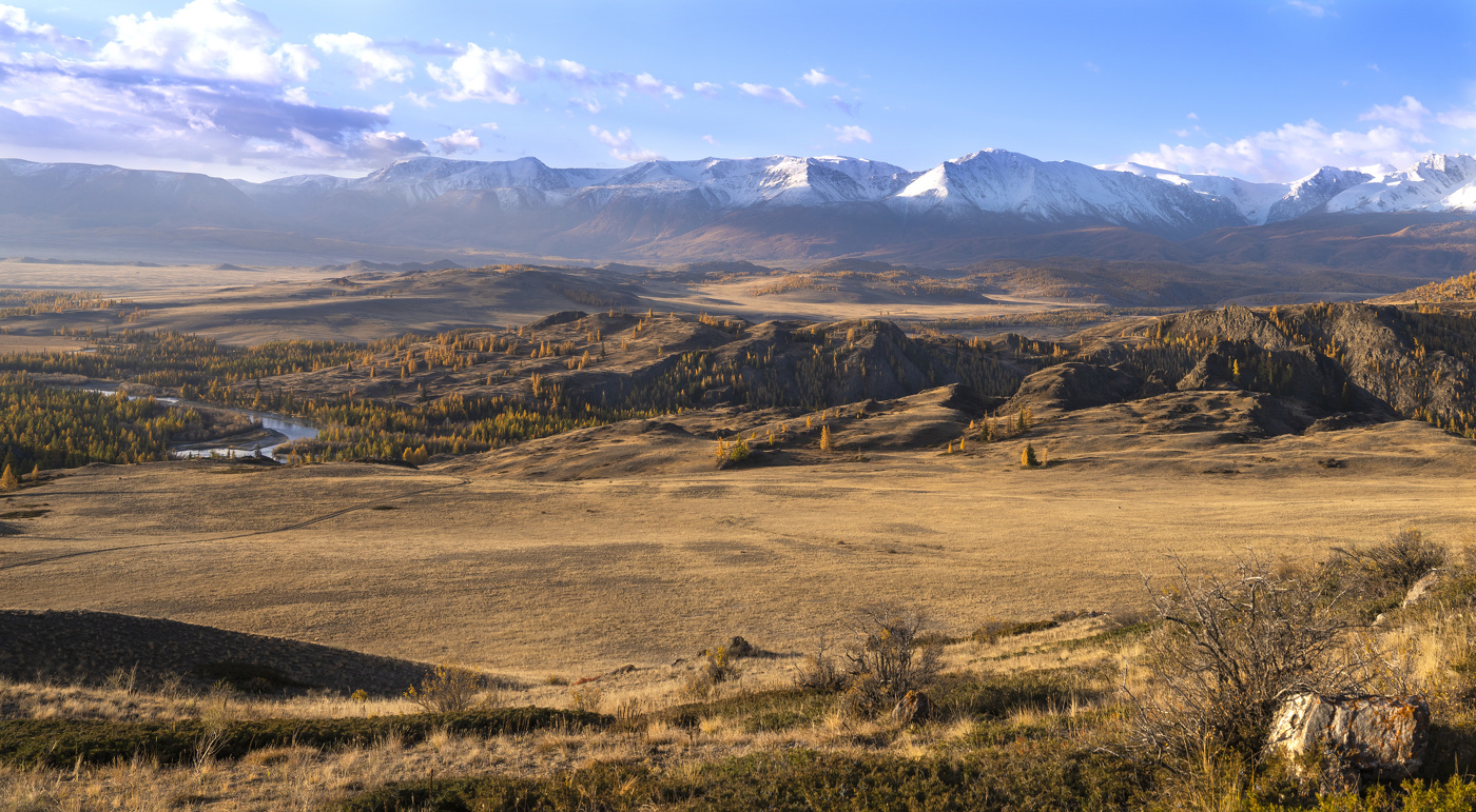 Алтайский простор