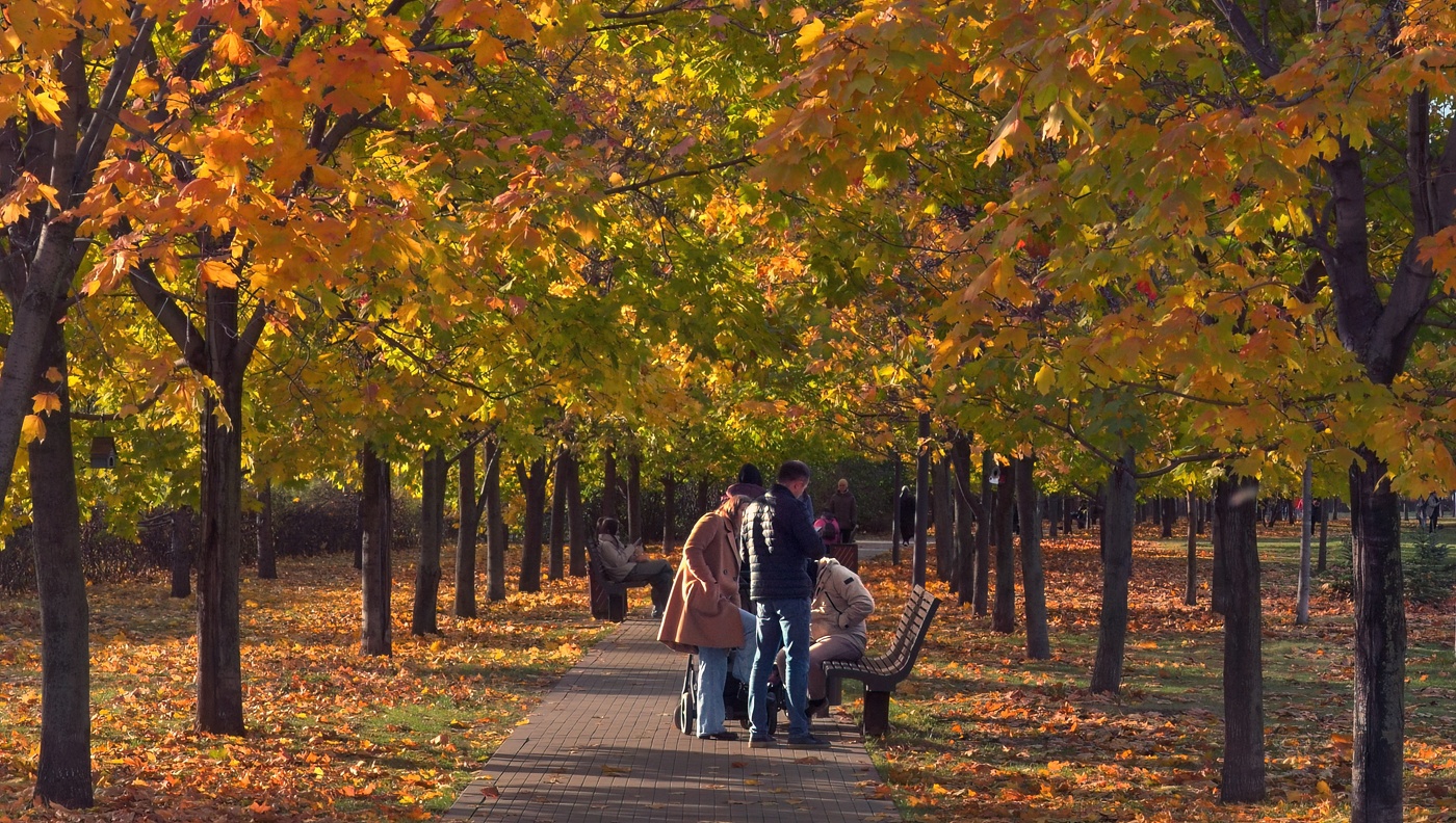 Осенние деньки