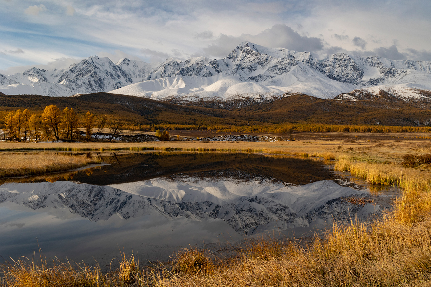 Золото Алтая