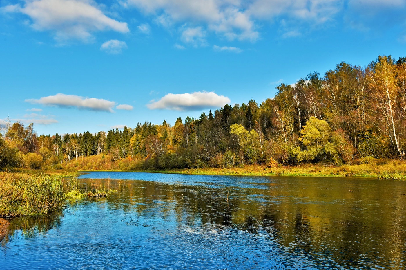 "Осенний мир по-своему прекрасен ..."