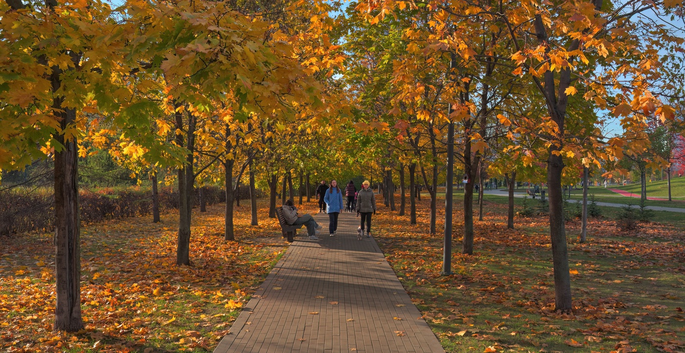 Кленовая аллея